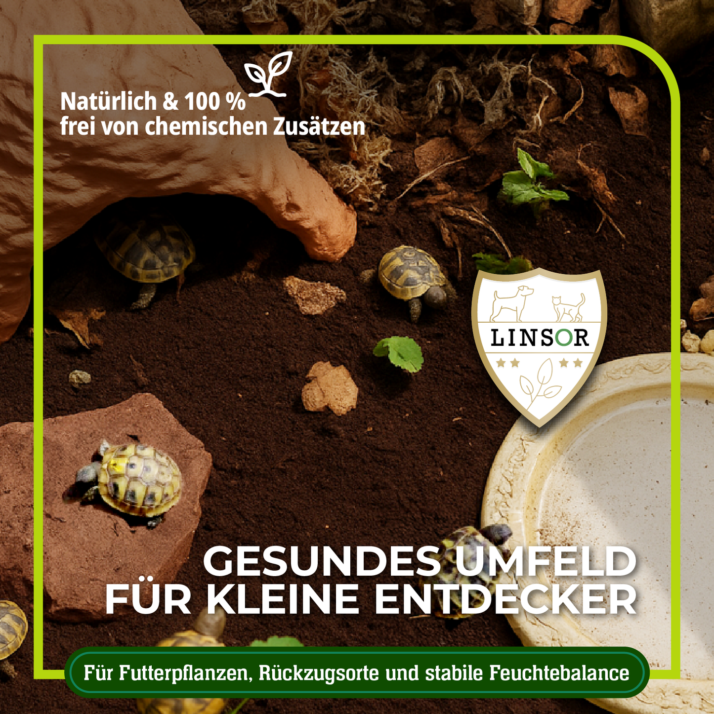 Ideale Erde für Landschildkröten