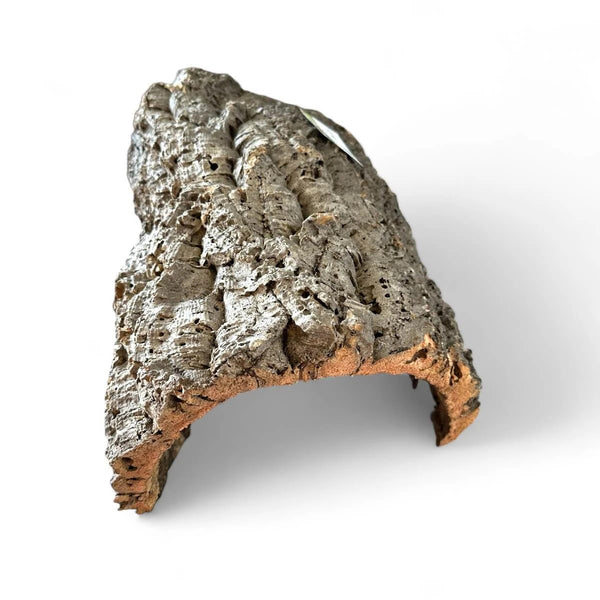 Korkhöhle für Schildkröten groß