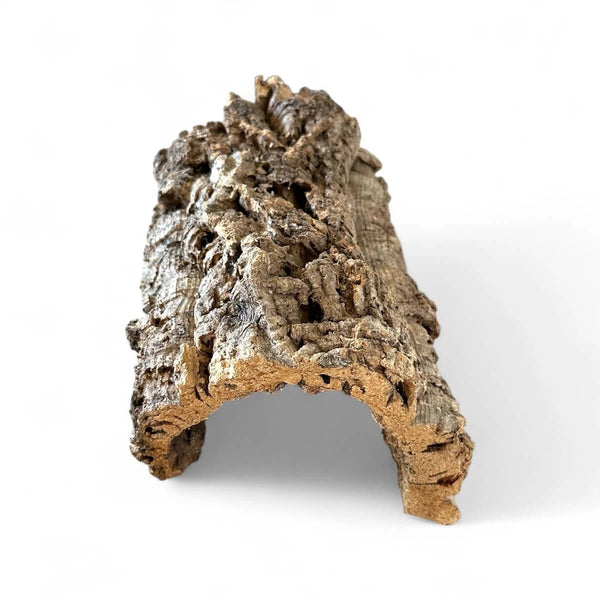 Korkröhre für Schildkröten klein