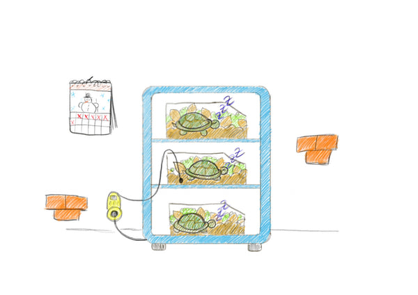 Überwinterungsbox für den Kühlschrank