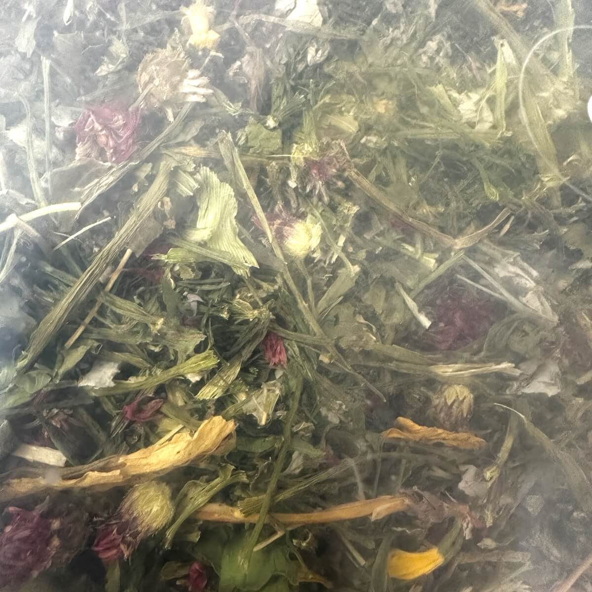 Blütenfest - getrocknete Kräuter für Landschildkröten