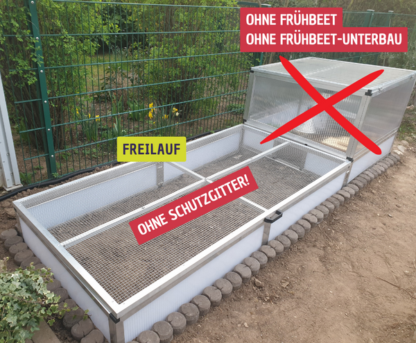 Freilauf für kleine Schildkröte