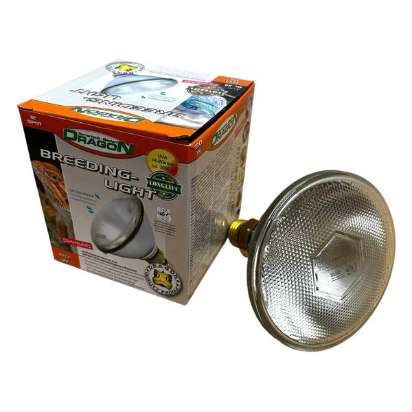 Imitiert den natürlichen Sonnenplatz für Schildkröten