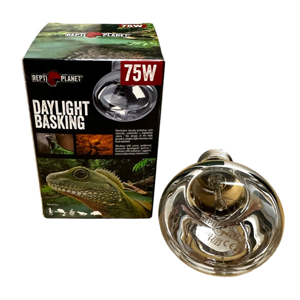 Spotstrahler für Schildkröten