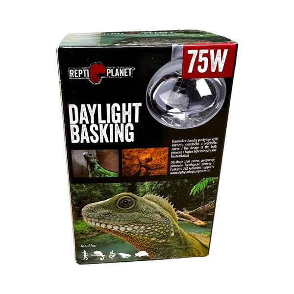 Wärmelampe Spotstrahler 75 Watt