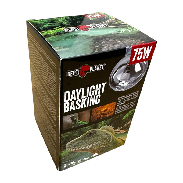 Wärmelampe für Schildkröten 75 Watt