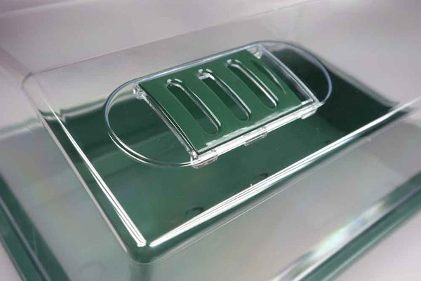 Zimmergewächshaus für Schildkröten-Futterpflanzen mit Öffnungsschlitzen