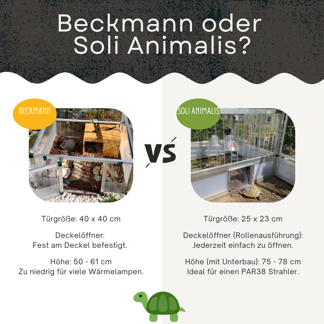 Beckmann Schildkröten-Haus oder Soli Animalis Frühbeet?