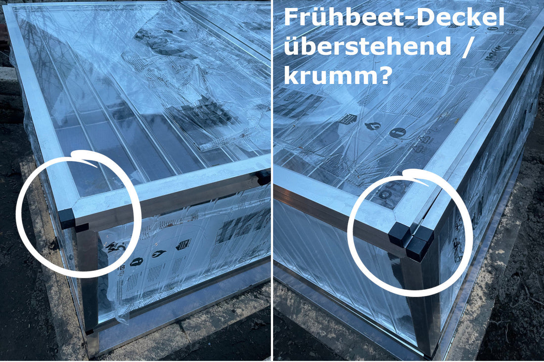 Frühbeet-Deckel krumm oder überstehend?