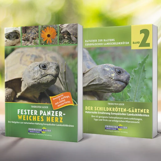 Bücher über Schildkröten