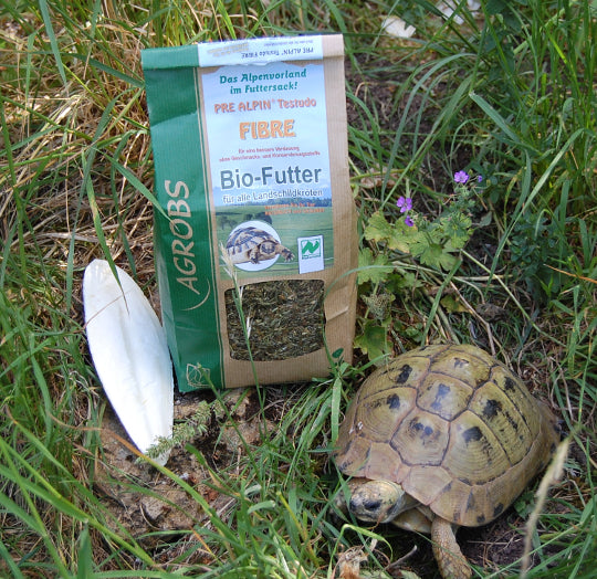 Grundfutter für Landschildkröten