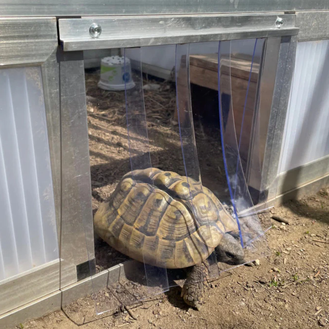 Lamellen mit Landschildkröte