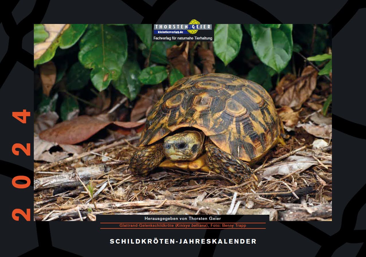 Schildkröten-Kalender 2024