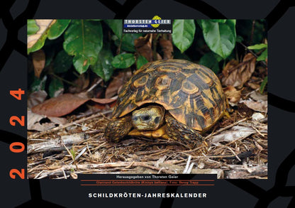 Schildkröten-Kalender 2024