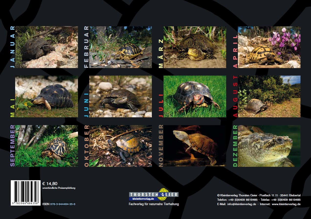 Schildkröten-Kalender 2024