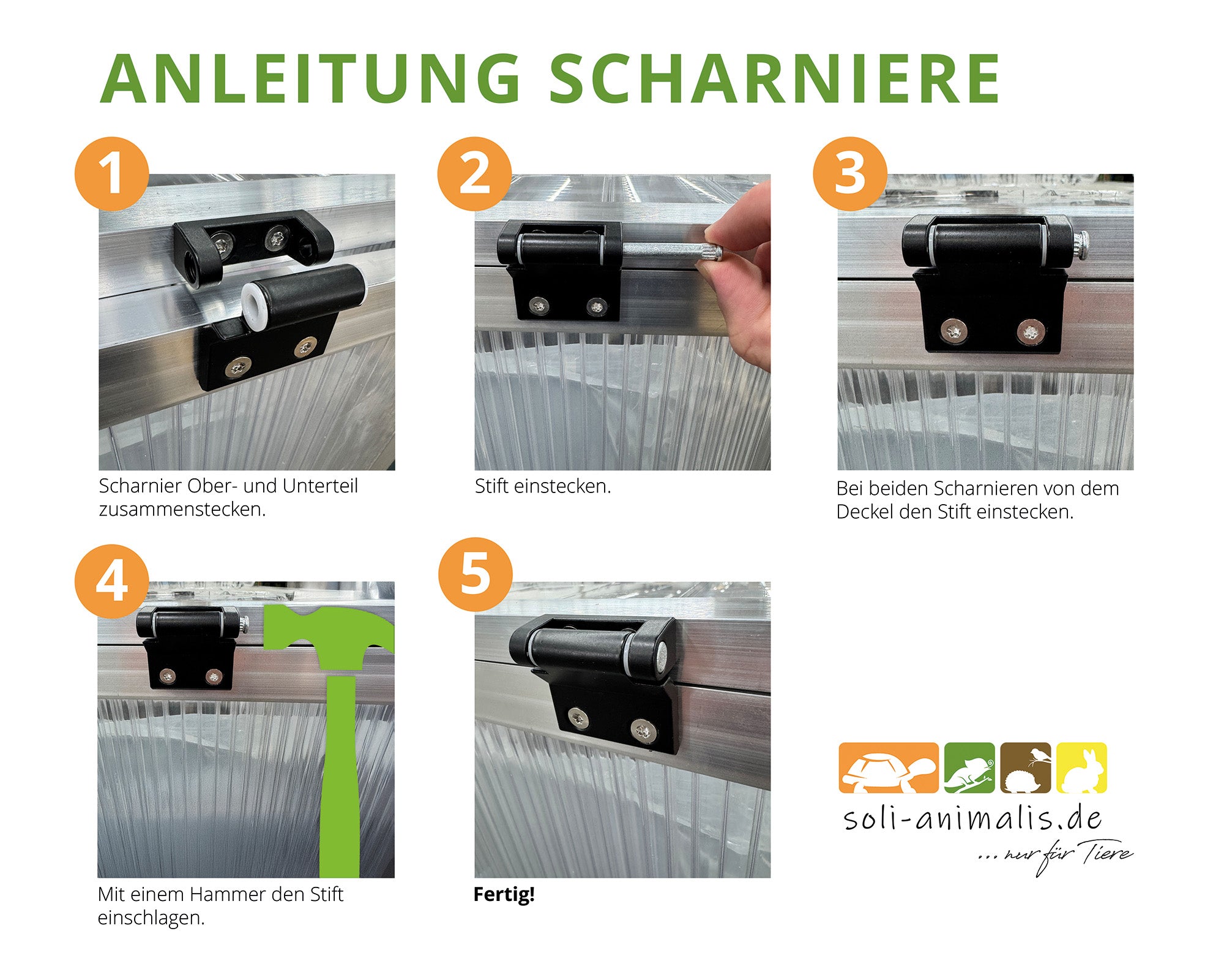 Scharniere für Soli Animalis Frühbeet 