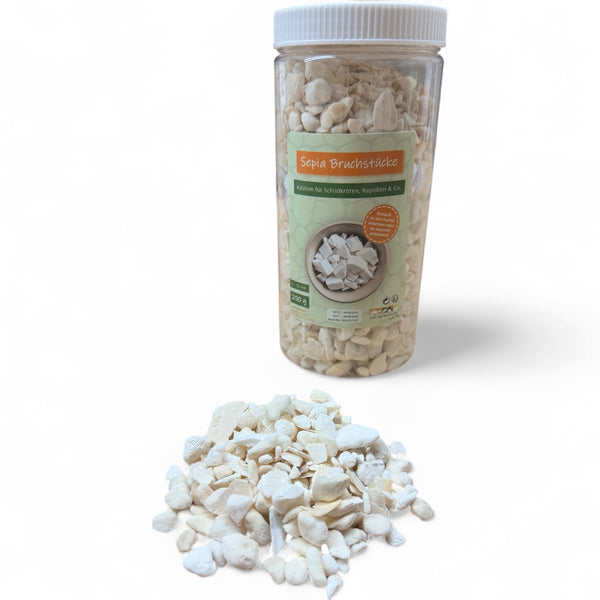 Sepia-Bruchstücke für Landschildkröten
