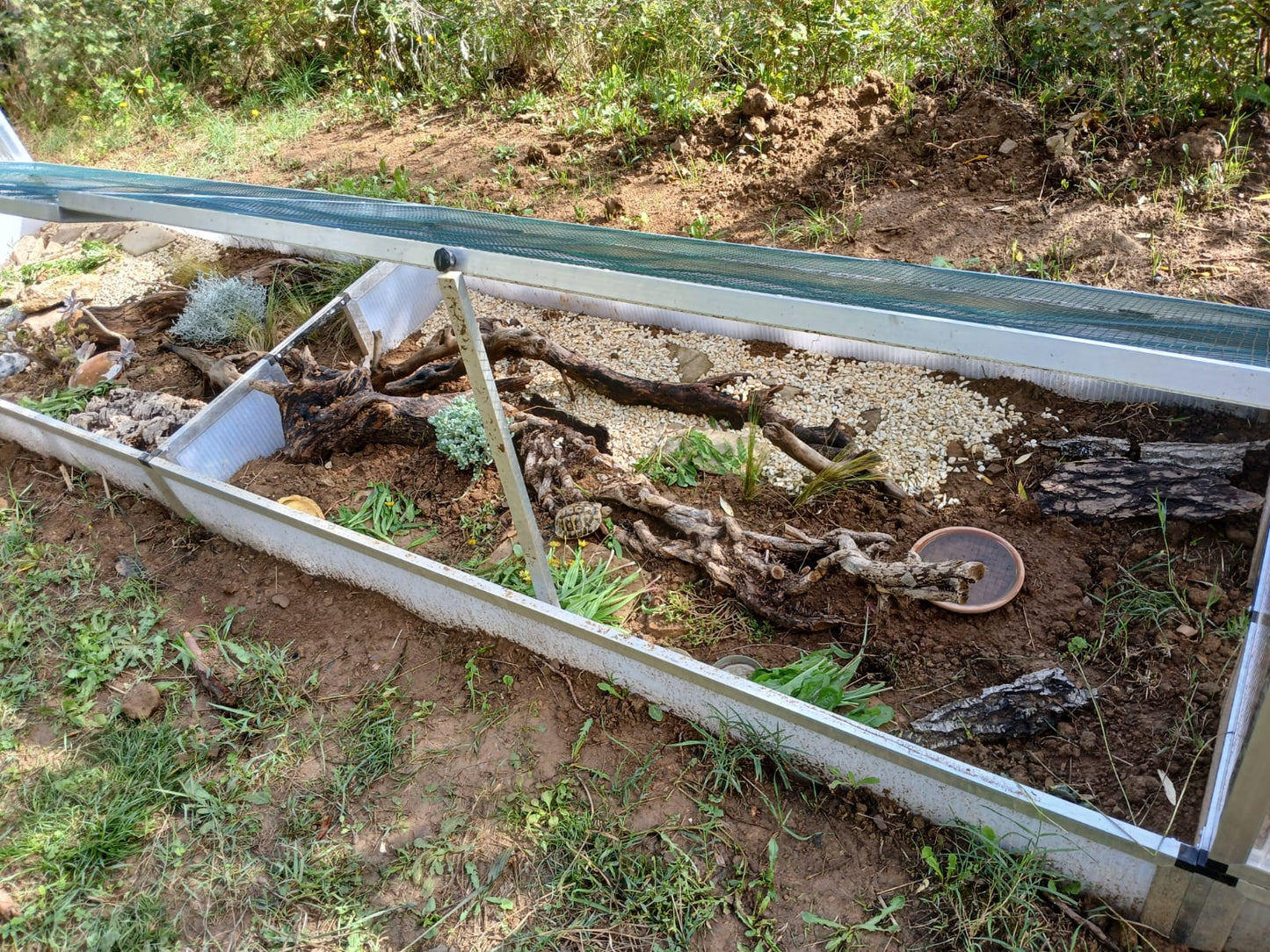Freigehege für Baby-Landschildkröten mit Schutz von oben