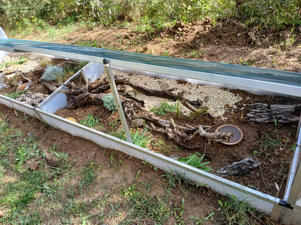 Freigehege für Baby-Landschildkröten mit Schutz von oben