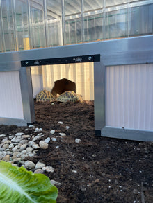 Freilauf-Element mit Tür