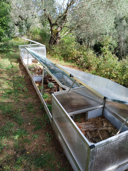 Frühbeet-Komplettanlage für Schildkröten