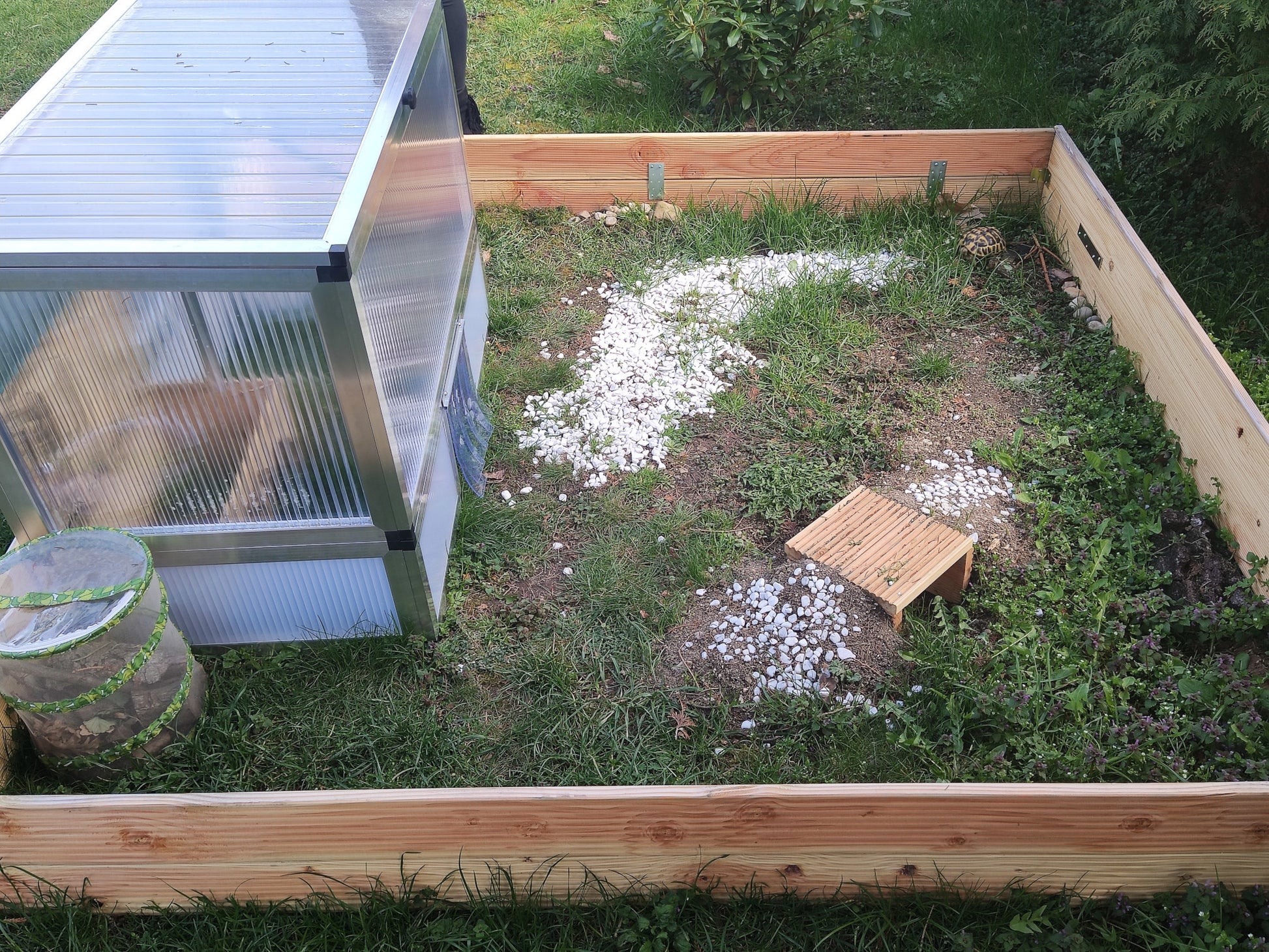 Frühbeet animalia 103 x 60 cm, 16 mm Hohlkammerplatten und ALLTOP-Deckel, opal weißlich