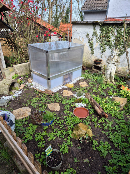 Frühbeet animalia Schildkrötenhaus