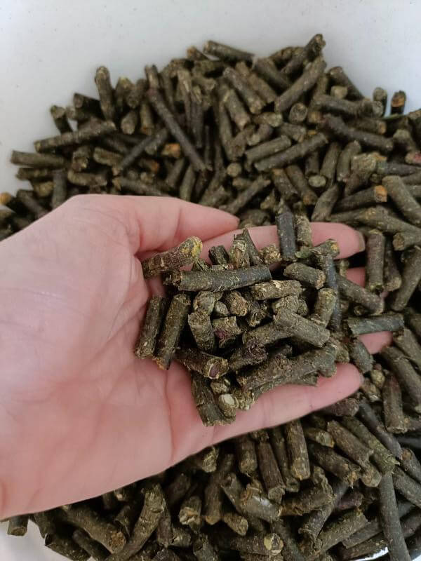 Futter-Pellets für Landschildkröten