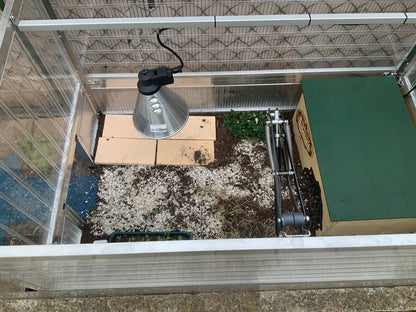 Soli Animalis Frühbeet in individueller Größe