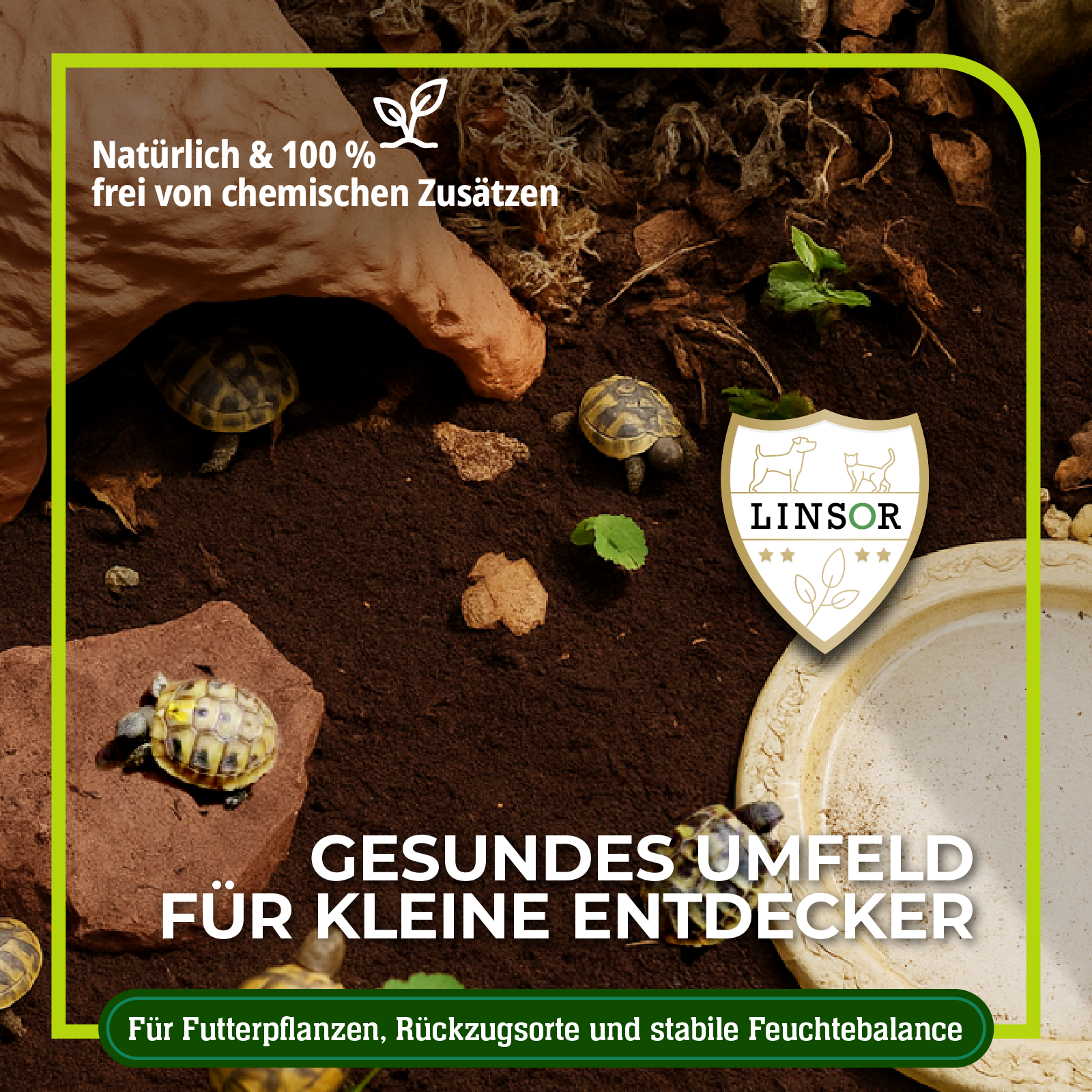 Ideale Erde für Landschildkröten