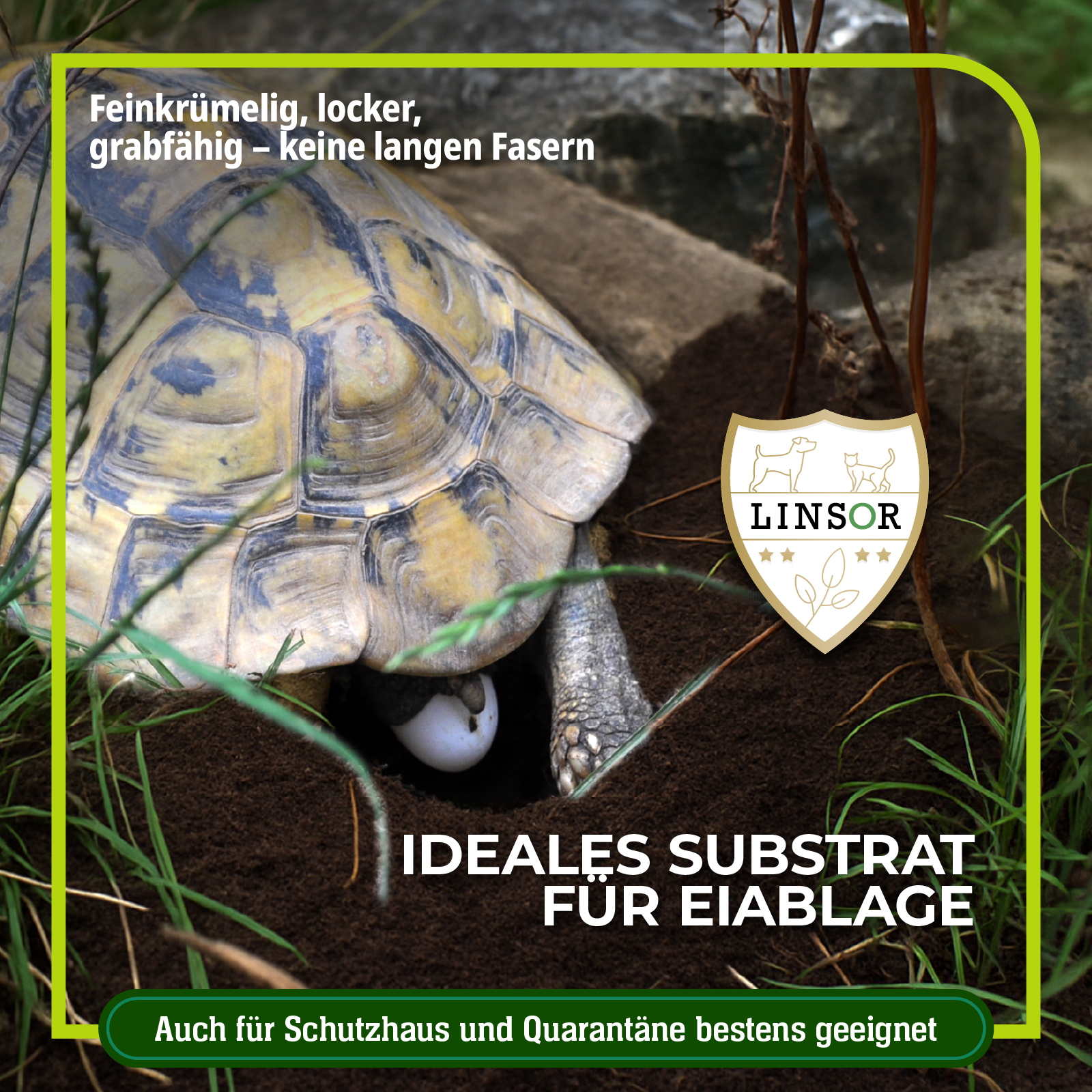 Ideales Substrat für die Eiablage von Schildkröten