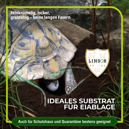 Ideales Substrat für die Eiablage von Schildkröten