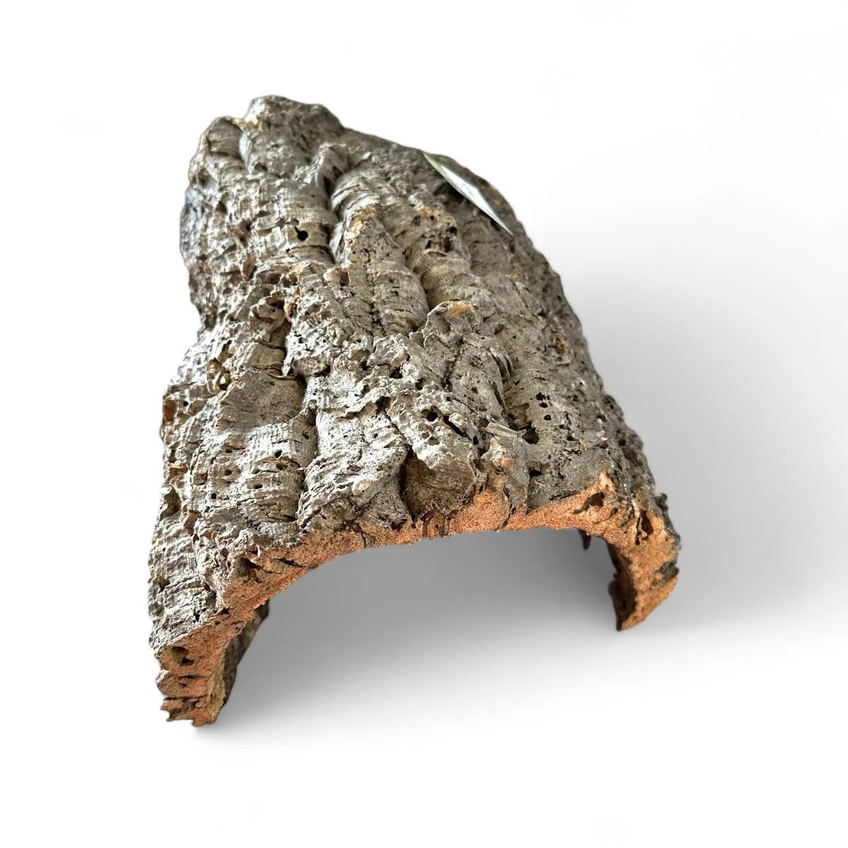 Korkhöhle für Schildkröten groß