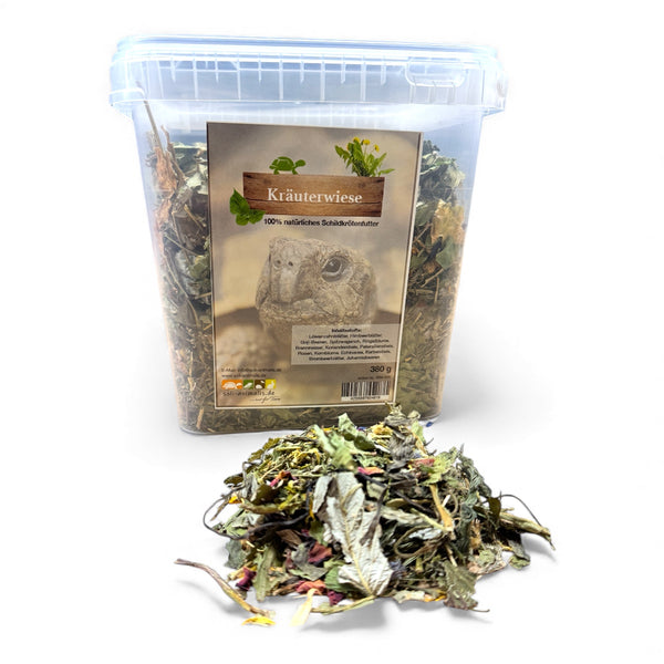 Kräuterwiese 380g - Wildkräuter für Schildkröten