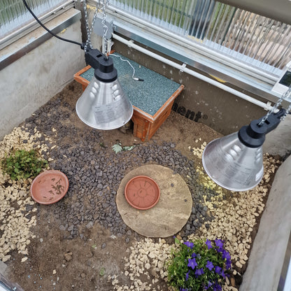 Lampen im Schildkröten-Frühbeet