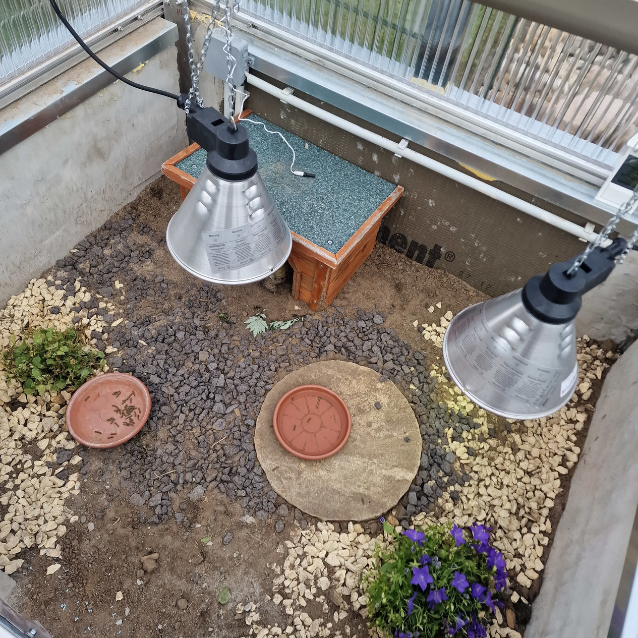 Lampen im Schildkröten-Frühbeet
