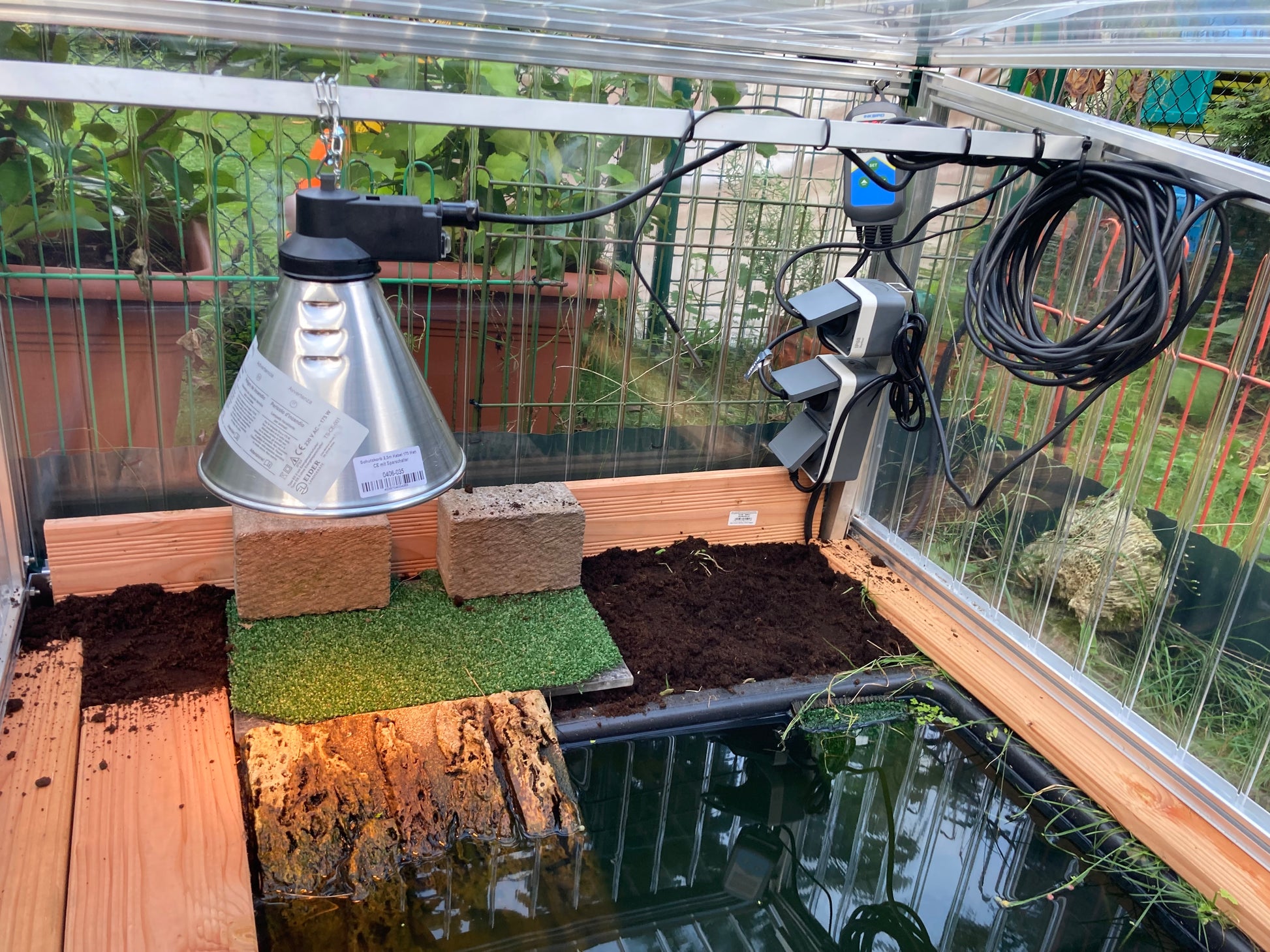 Lampenschirm im Frühbeet