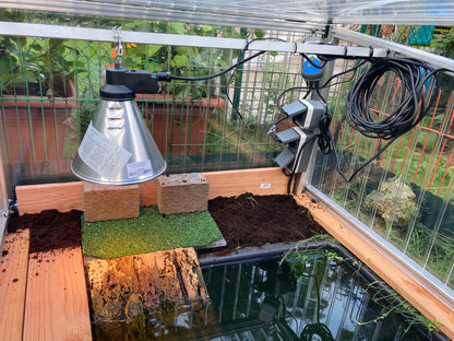 Lampenschirm im Frühbeet