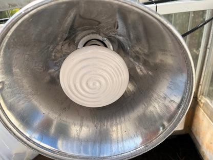 Metallschutzkorb Innenansicht mit Dunkelstrahler  Elstein-Strahler