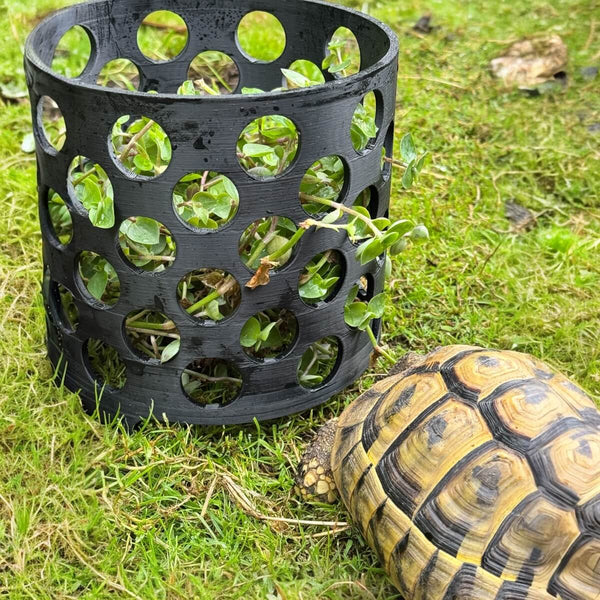 Pflanzenschutzabdeckung für Schildkröten