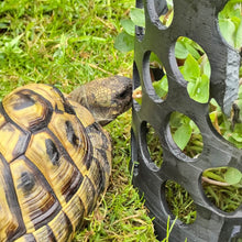Pflanzenschutzkorb für Futterpflanzen