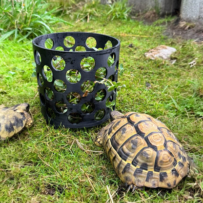 Pflanzenschutzkorb für Schildkröten