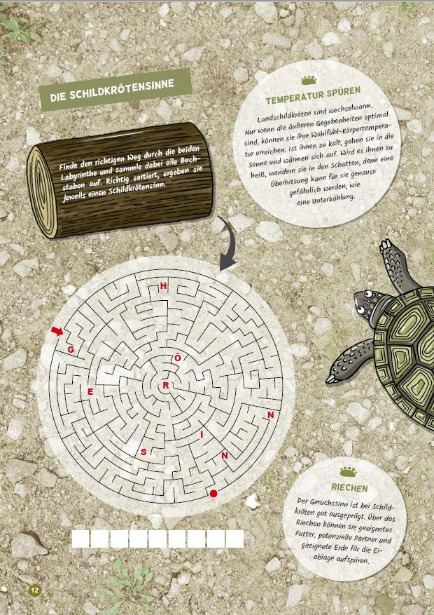 Rätselbuch über Schildkröten