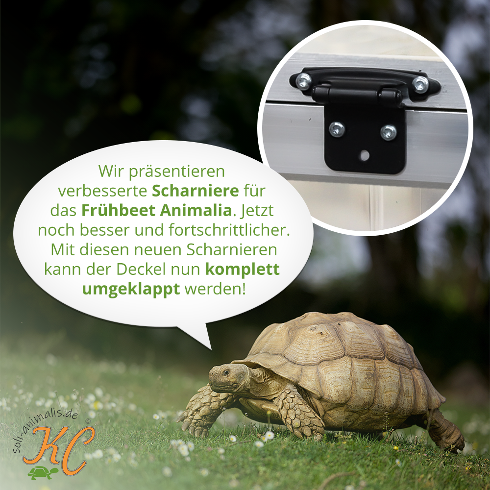 Scharnier für Schildkröten-Frühbeet