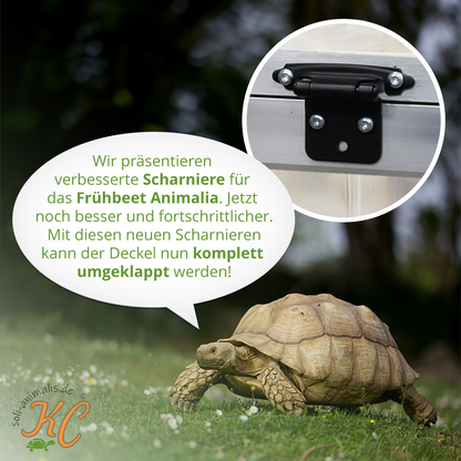 Scharnier für Schildkröten-Frühbeet