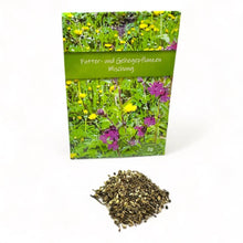 Schildkröten Futterpflanzen und Gehegepflanzen Mischung