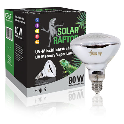 Schildkröten UV-Wärmelampe Solar Raptor