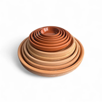 Schildkröten Wasserschalen