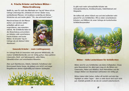 Kinderbuch über Schildkröten