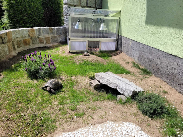 Selbstaufbau Frühbeet-Set für Schildkröten